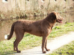 10 maanden